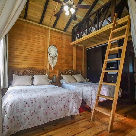 Alicat Villas تولوم المظهر الخارجي الصورة