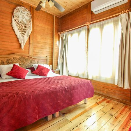 Alicat Villas تولوم المظهر الخارجي الصورة