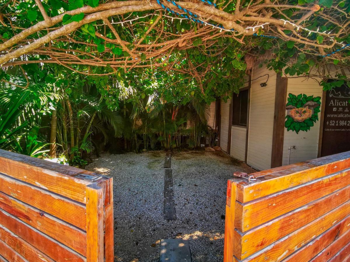 Alicat Villas تولوم المظهر الخارجي الصورة
