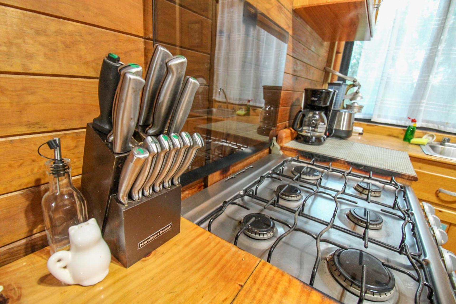 Alicat Villas تولوم المظهر الخارجي الصورة